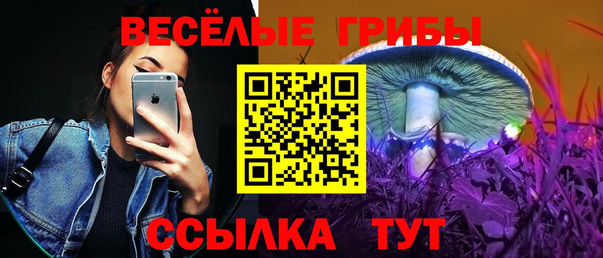Галлюциногенные грибы Psilocybine cubensis  Вход с VPN  Дюртюли  Галлюциногенные грибы Psilocybine cubensis 