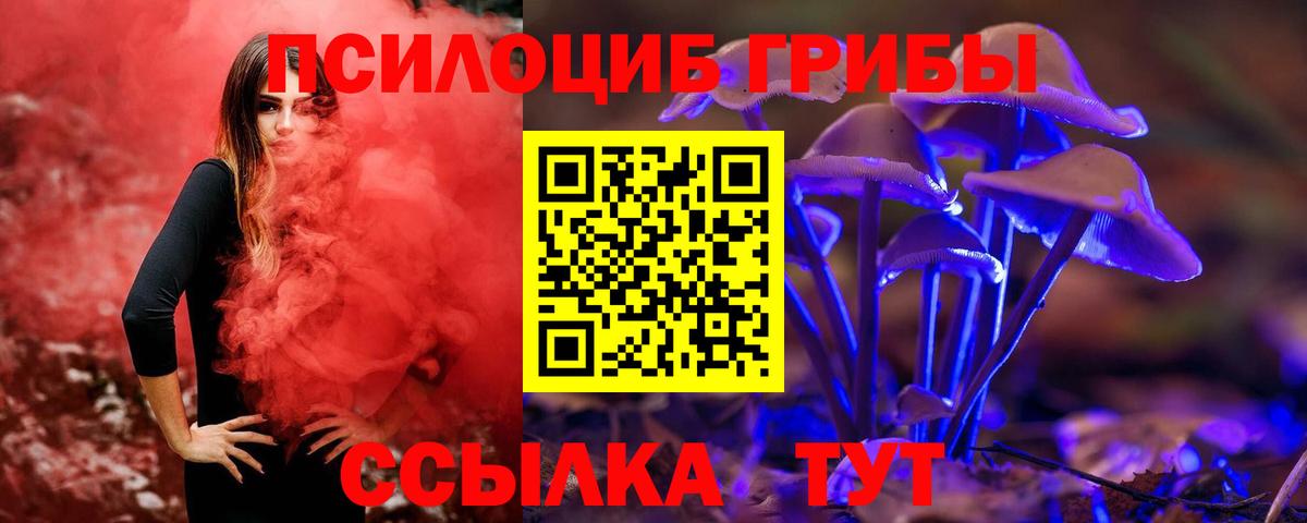 Псилоцибиновые грибы Cubensis Дюртюли